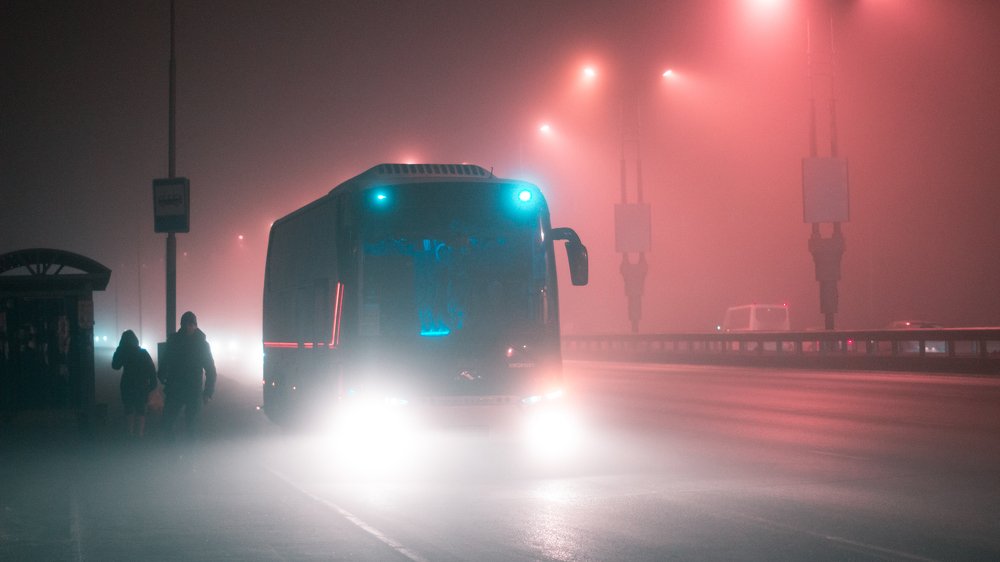 Photograph by Алена Емельянцева