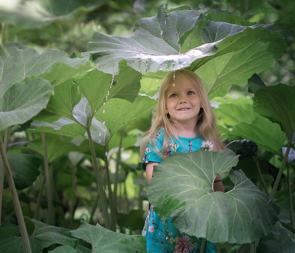 Дюймовочка