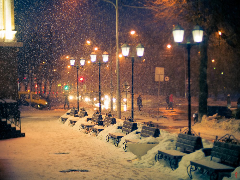 Photograph by Сергей Забиякин