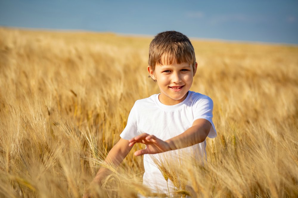 Ласковое поле .