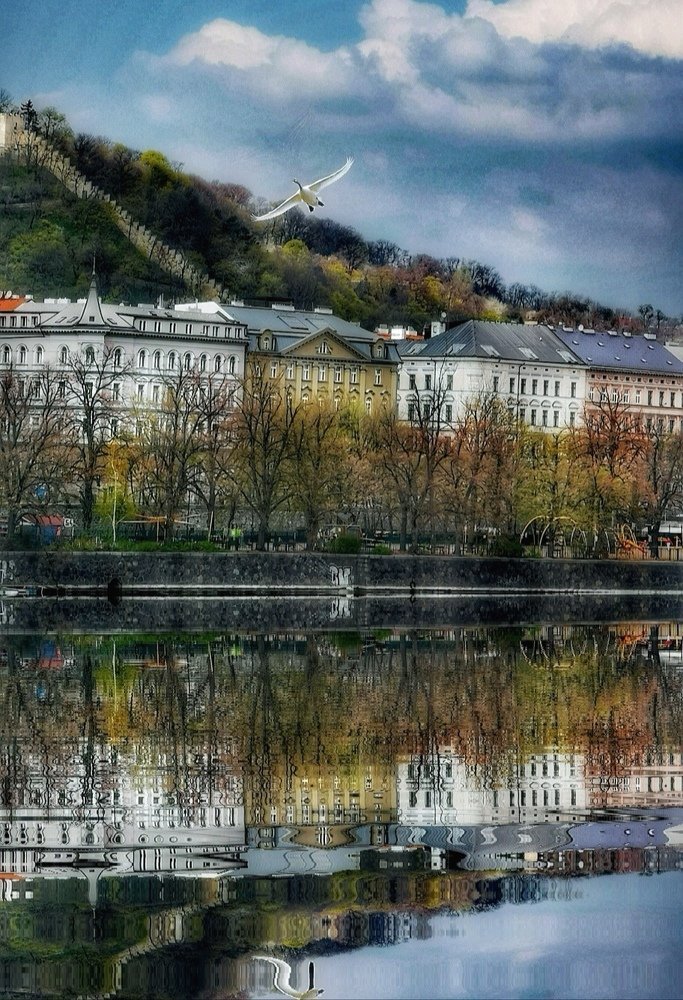 Photograph by Татьяна Чернышова