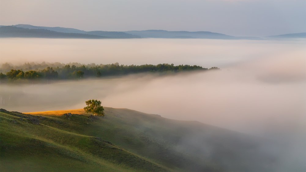 Туманное море