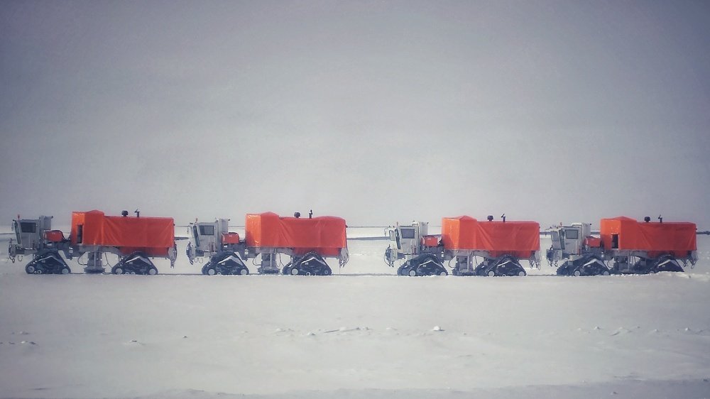 Весна пришла, букашки вылезли