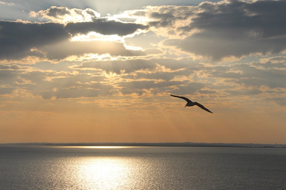 рассвет на море