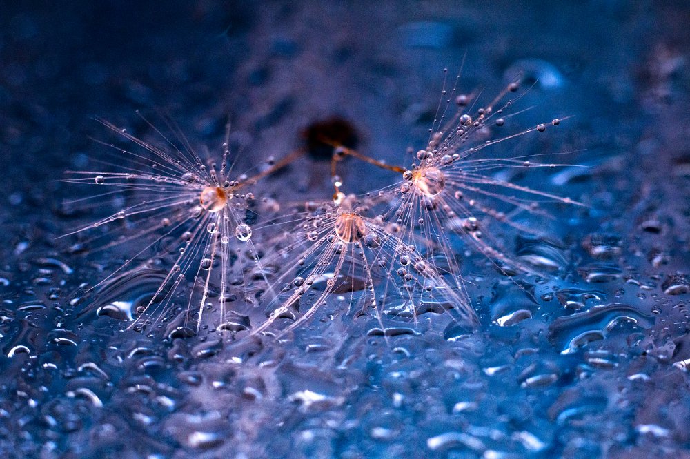 Photograph by Андрей Кульков