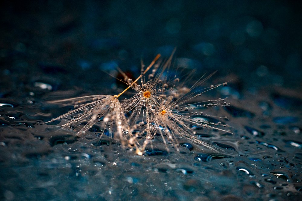 Photograph by Андрей Кульков