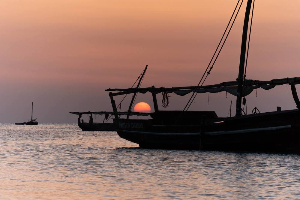 Photograph by Valerii  Petrov