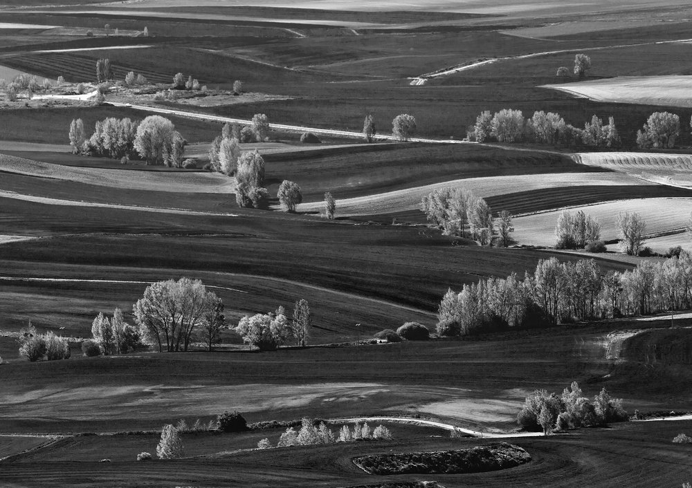 Волны полей