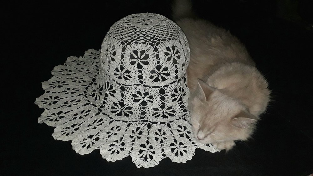 Твоя шляпка мне подходит