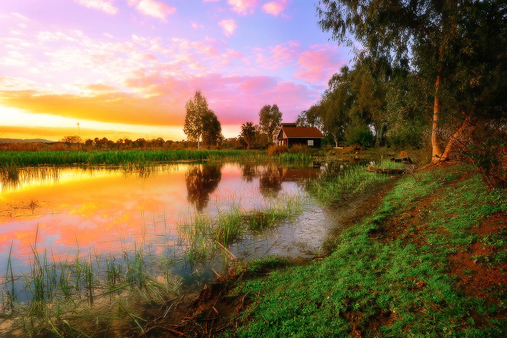 Photograph by Kadhem Bousbia