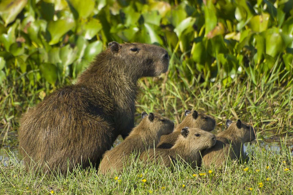 Во все глаза