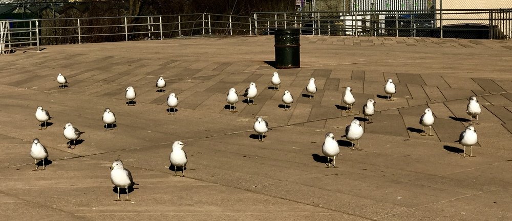 Вечер на набережной