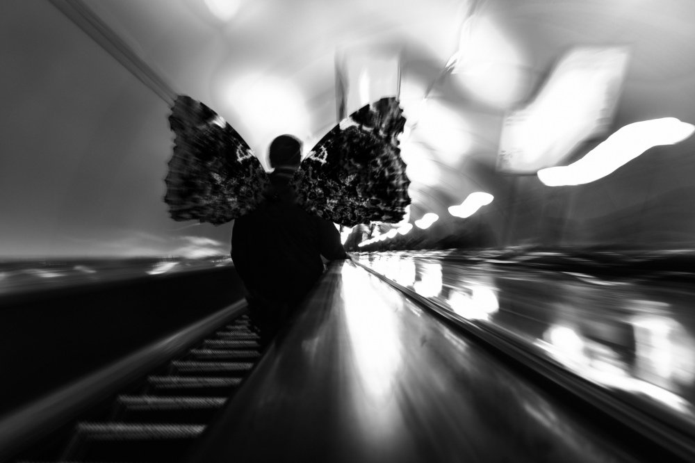 Ночной мотылек