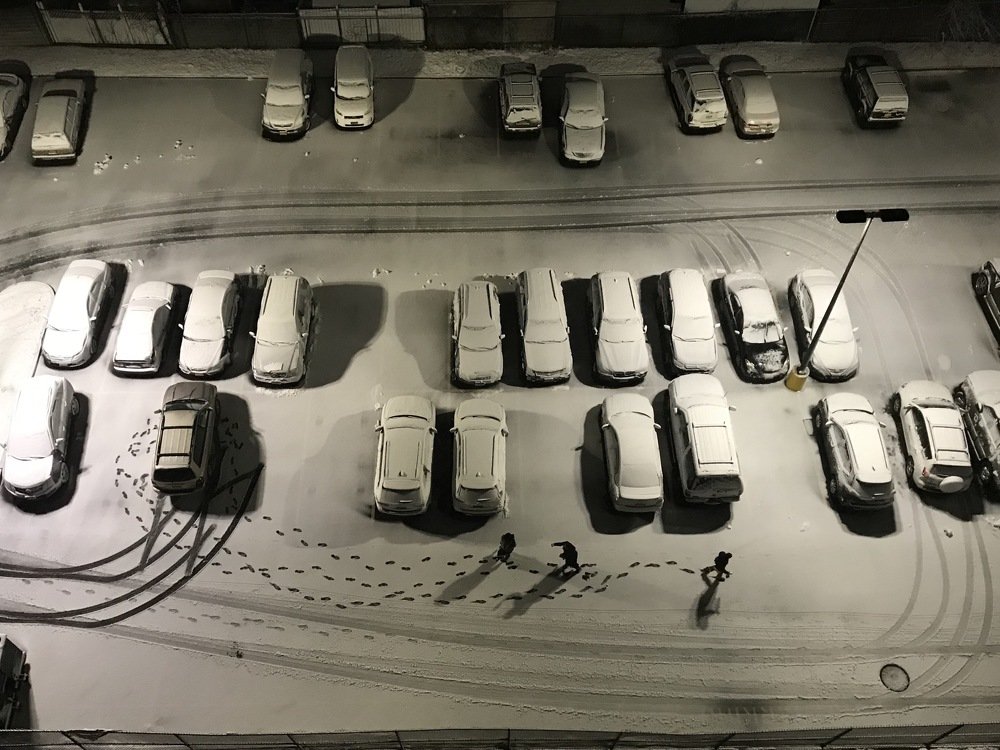 Первый снег