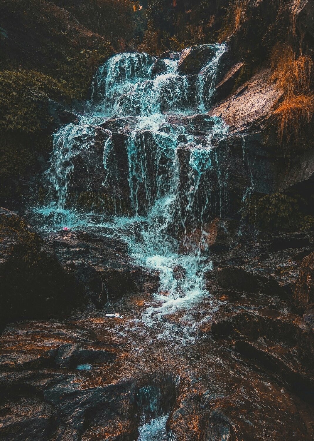 Darjeeling fall