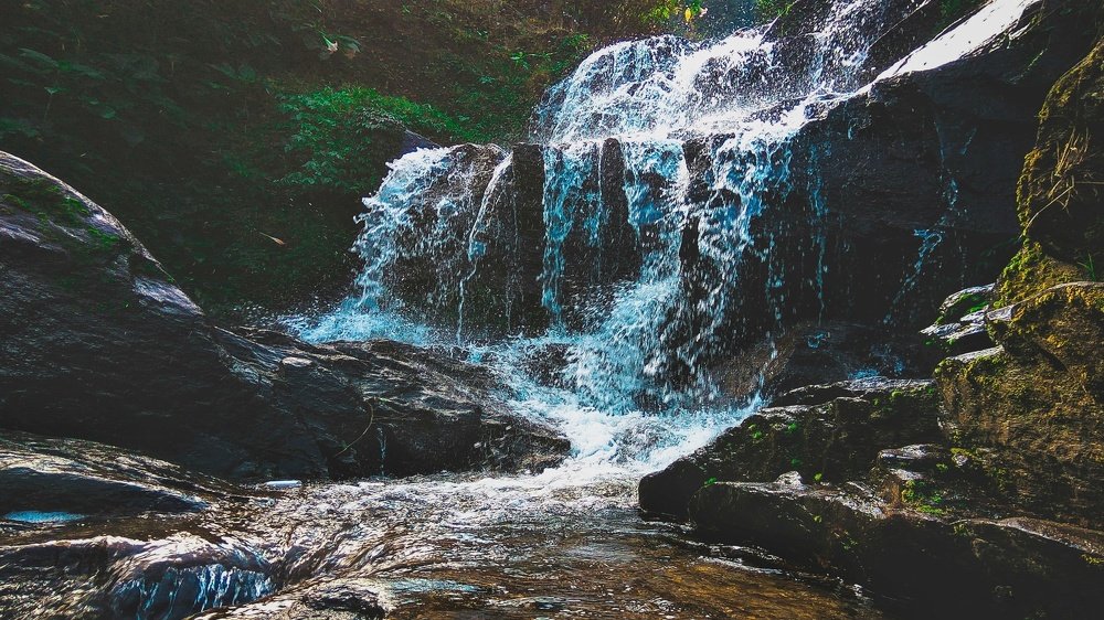 Nature fall