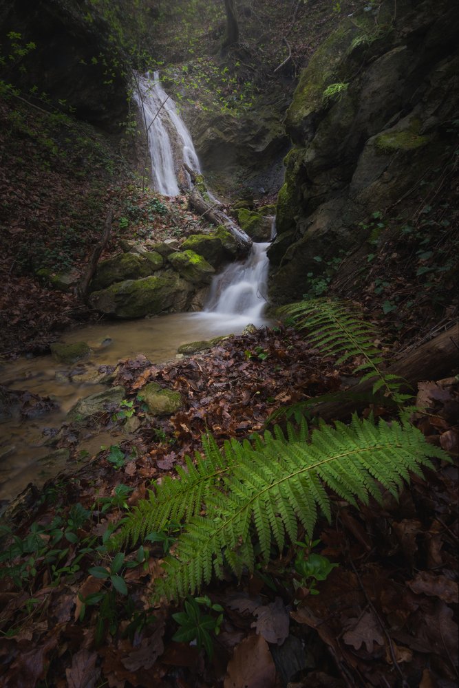 Photograph by Martin Novak