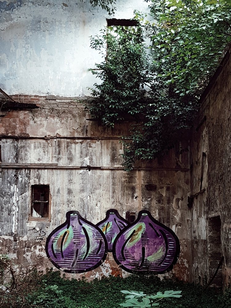 Photograph by Лана Агрба