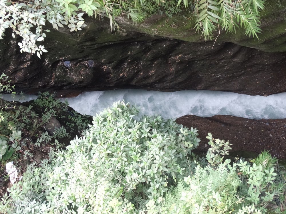 Photograph by Syed Mashud Al Hasan Mashud