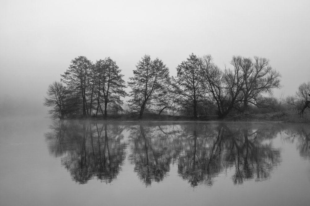 Photograph by Дмитрий Новоселов