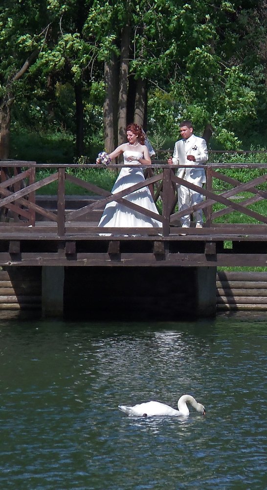 Фотография автора Антип