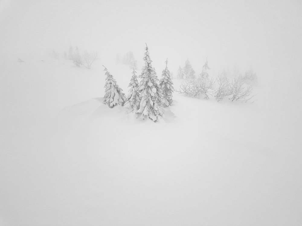 Photograph by Marcin Sokolowski - maarew