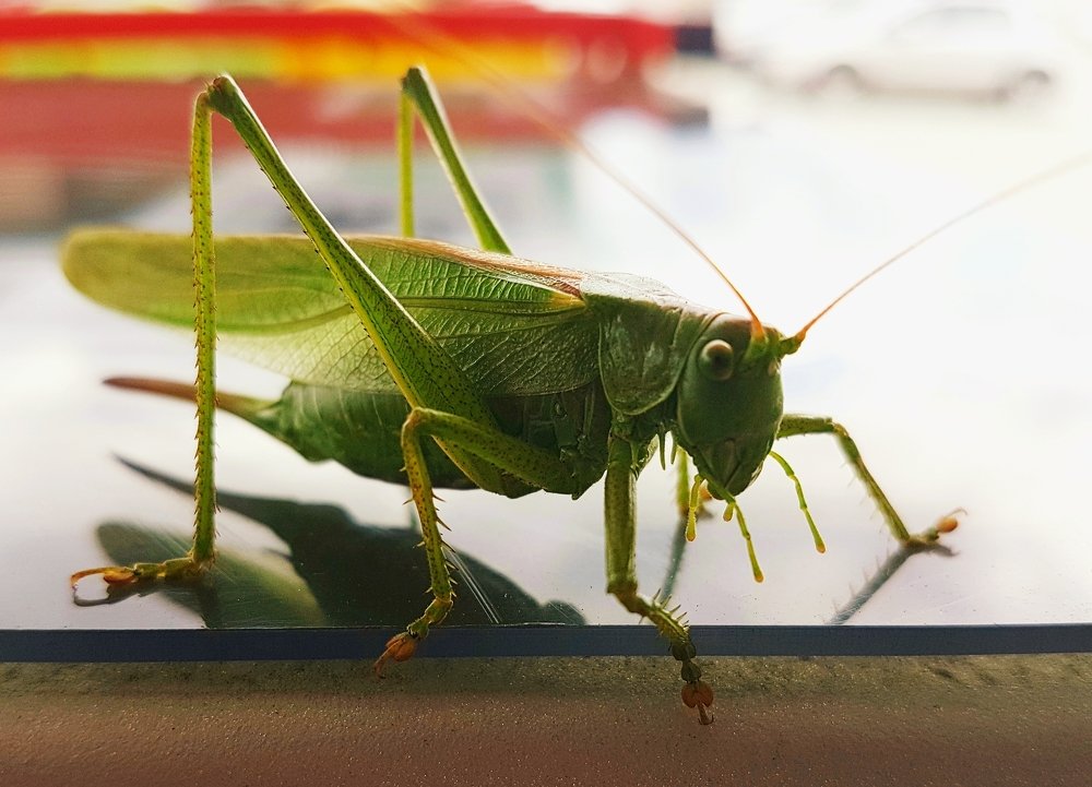 Photograph by Marcin Sokolowski - maarew