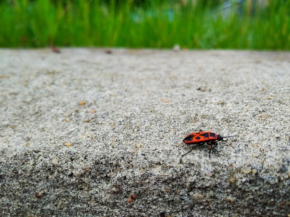 Бегущий солдат