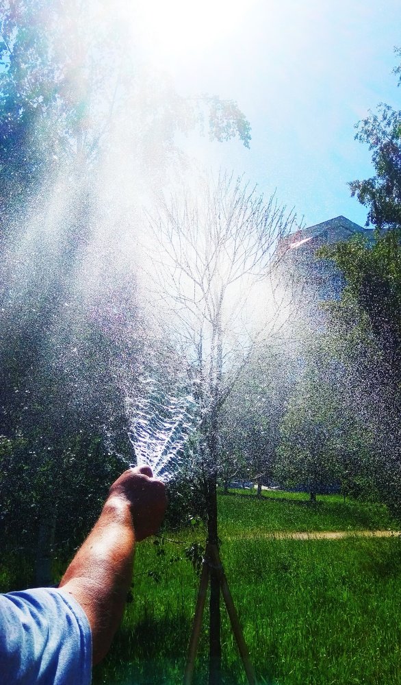 Фотография автора Светлана Дунаева