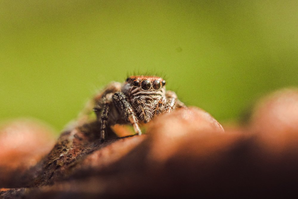 Греемся на солнышке