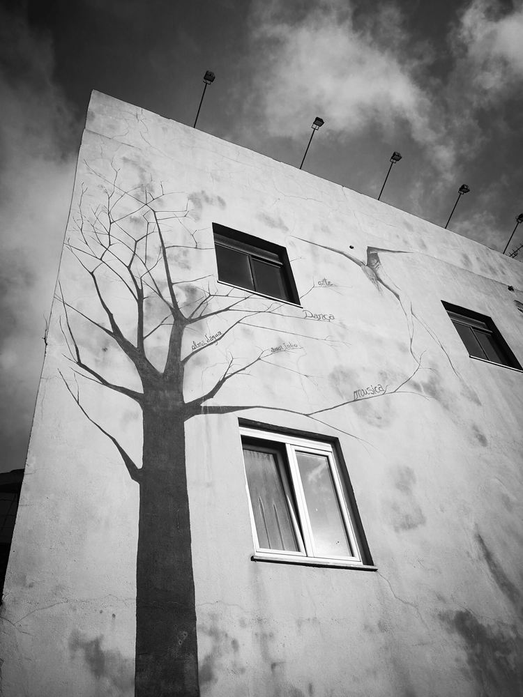 Photograph by Иван Шатный