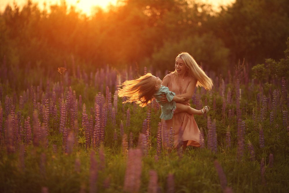 Закат в люпинах