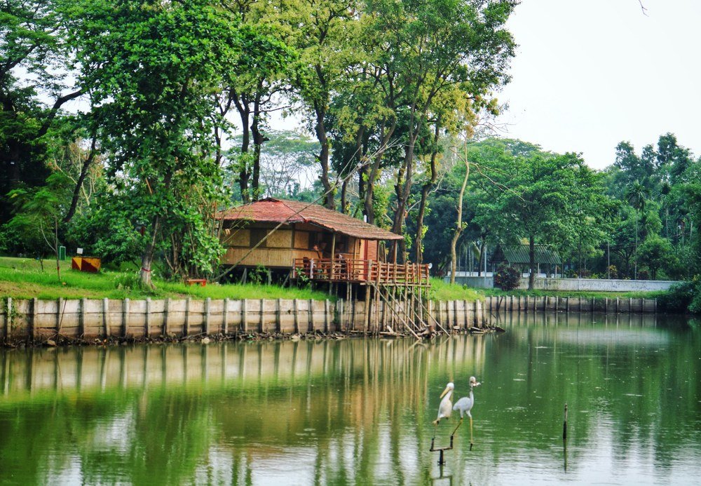 Фотография автора Naeem Hossain