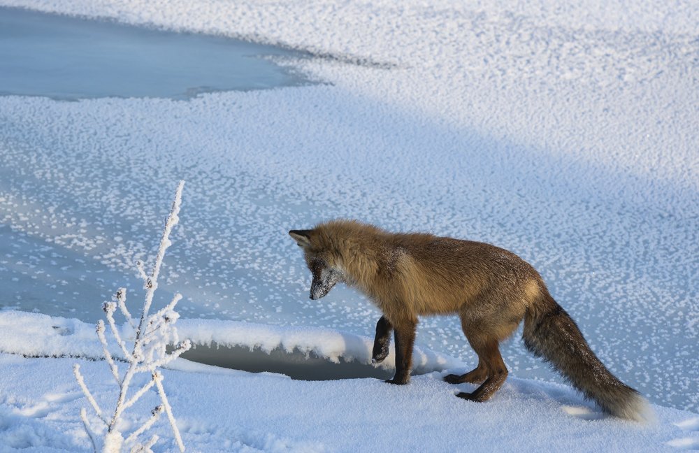 В ожидании.