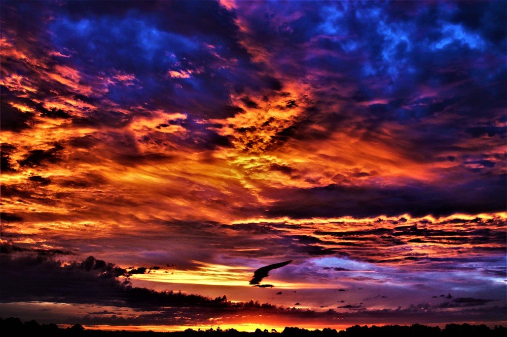 ALIEN SUNSET