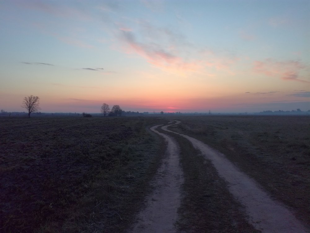 Дорога в рассвет