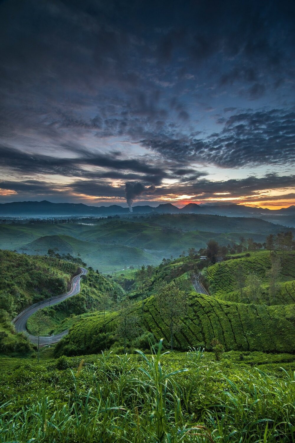 Landscape