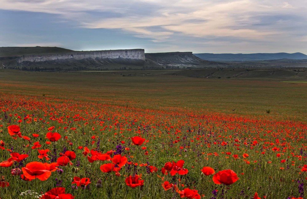 вид на Ак-Кая (Белая скала)