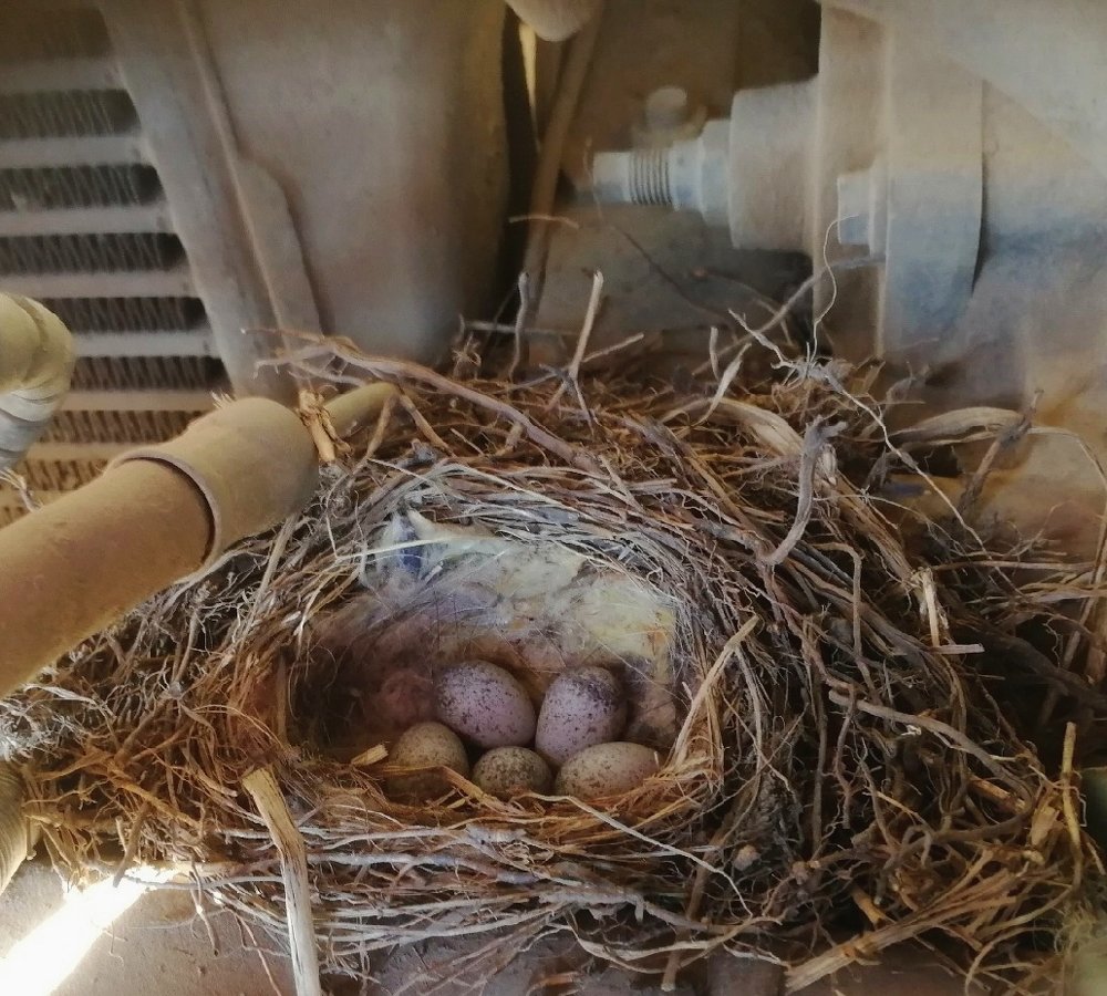 Уютный домик