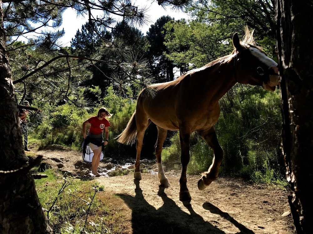 Вечерняя прогулка