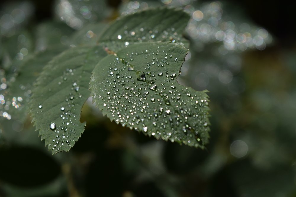 Photograph by Эдуард Спикин
