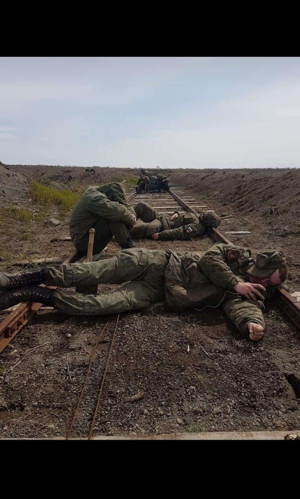 Год жизни