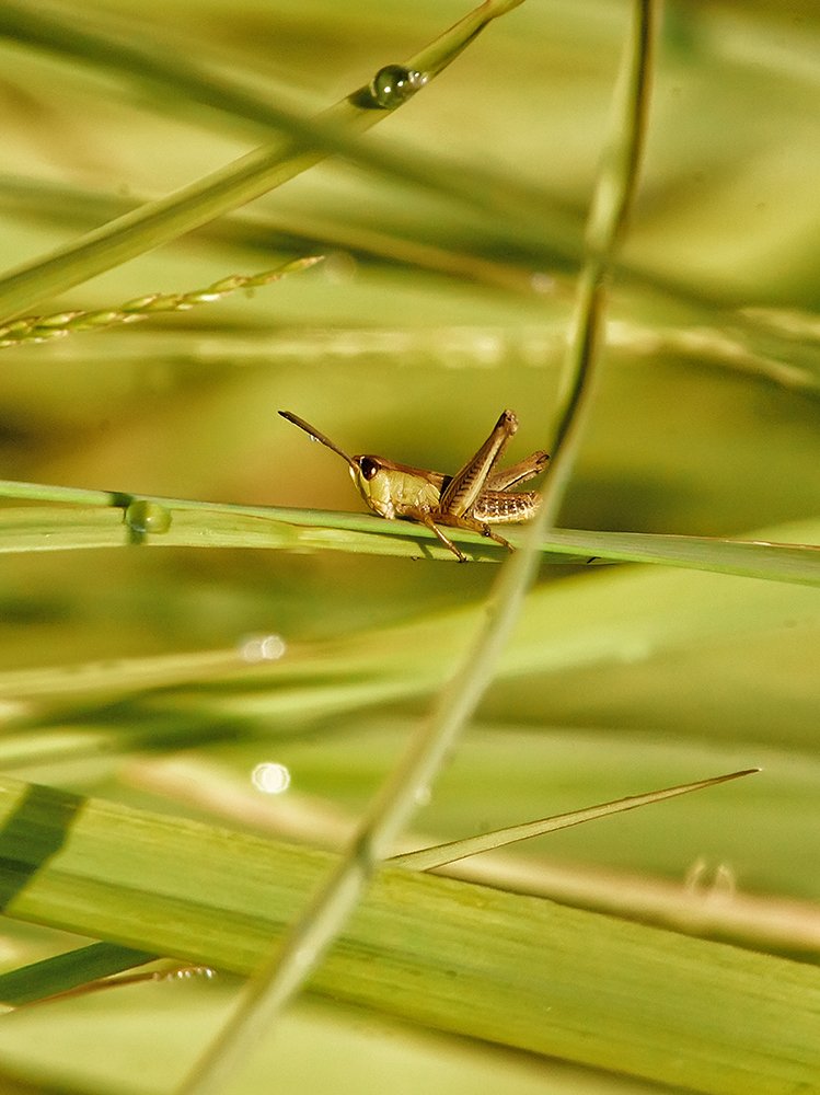 Фотография автора Игорь Иванов