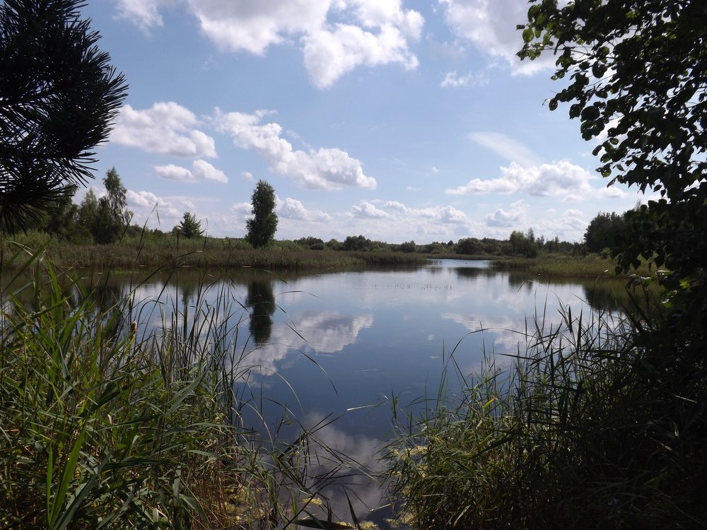 укромное место