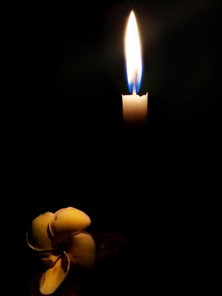 A tale of candle & flower