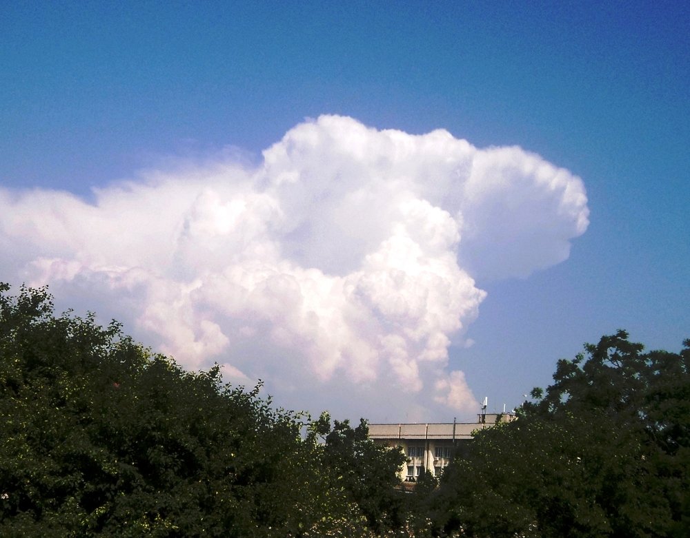 Всем привет!