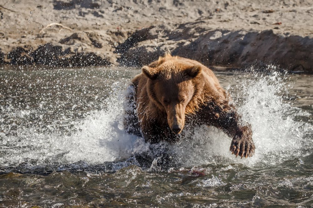 На рыбалке.