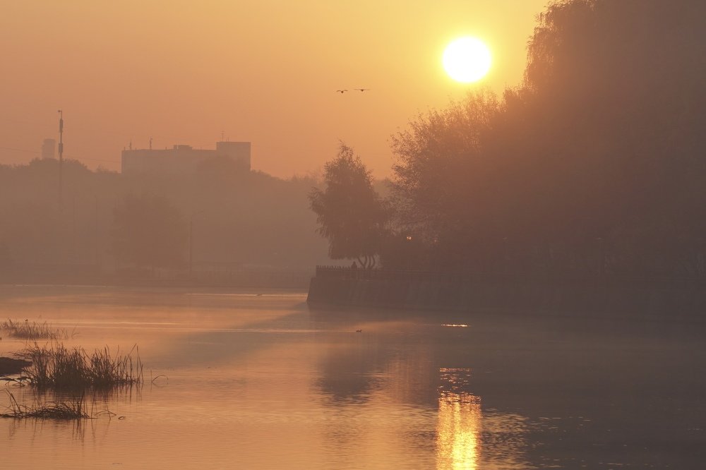 Утро в городском парке