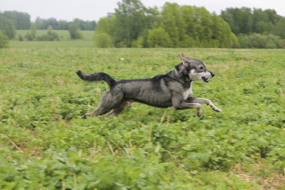 Photograph by Елена