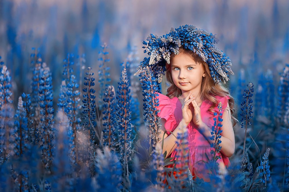 Лиза в Люпинах